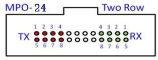 MPO Pinout Diagram and Deion